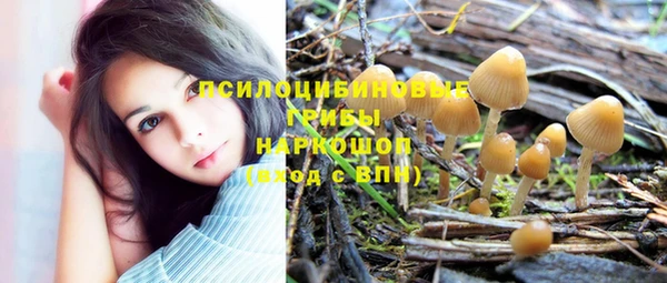 соль курить ск Надым