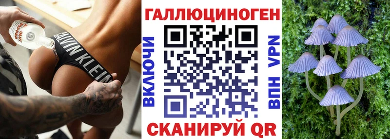 Псилоцибиновые грибы GOLDEN TEACHER  Беломорск 